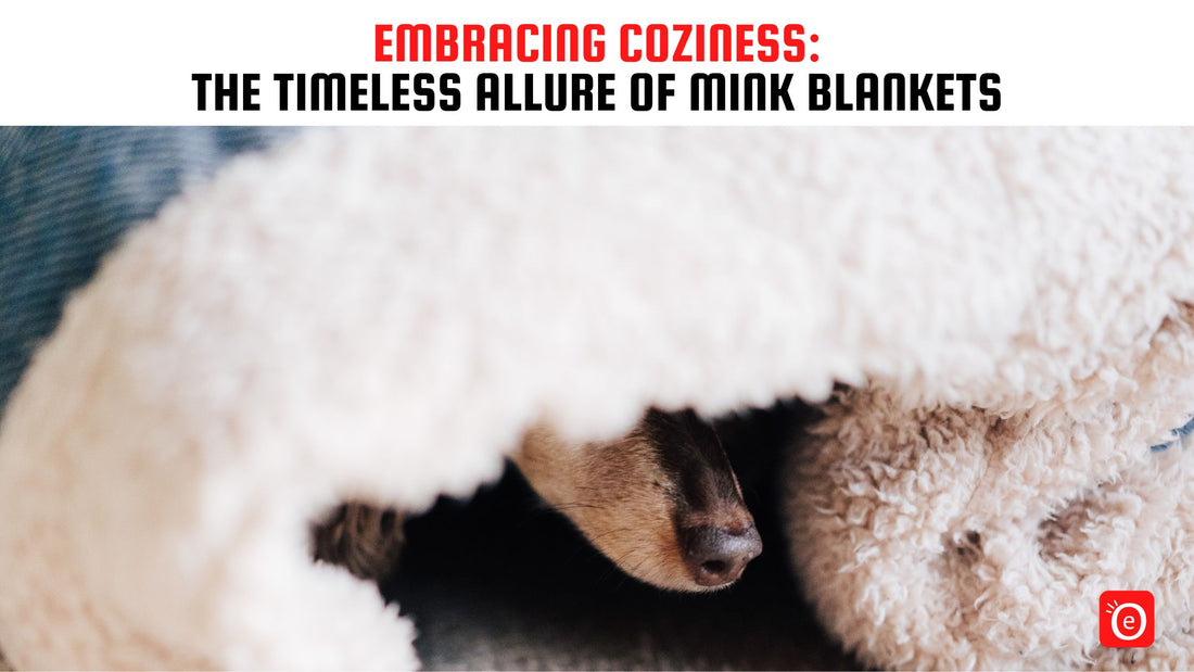 Embracing Coziness: The Timeless Allure of Mink Blankets