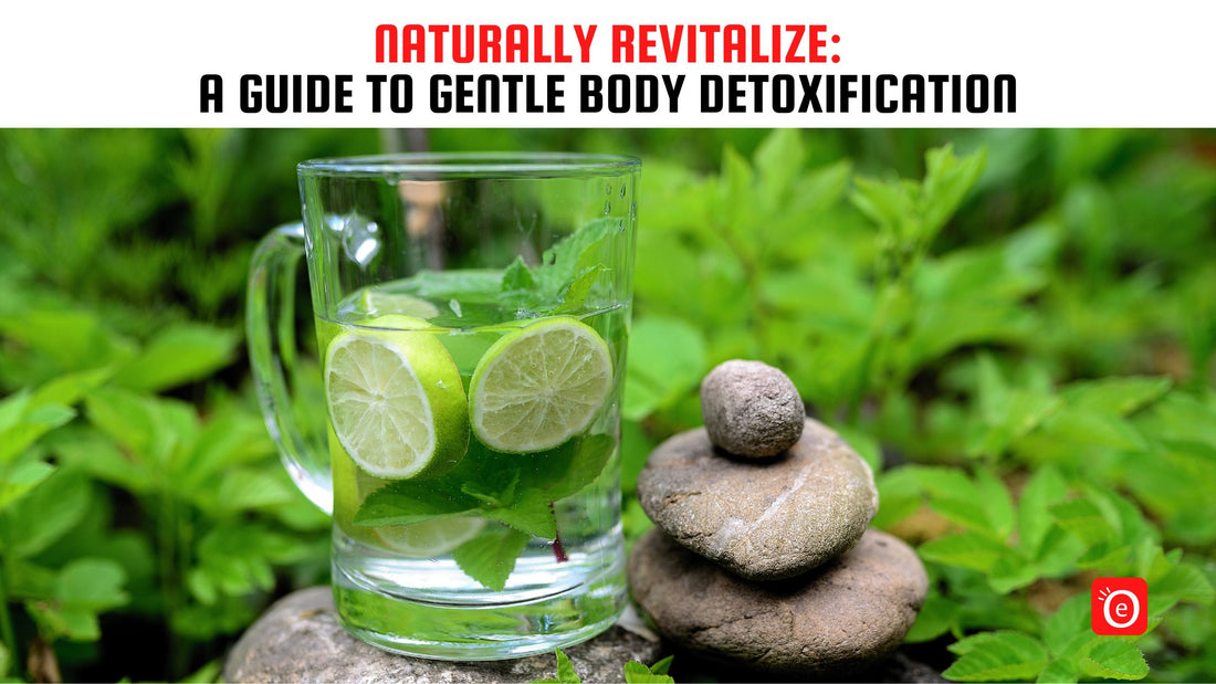 Naturally Revitalize: A Guide to Gentle Body Detoxification