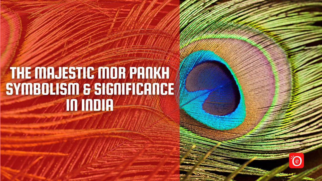 The Majestic Mor Pankh: Symbolism and Significance in India