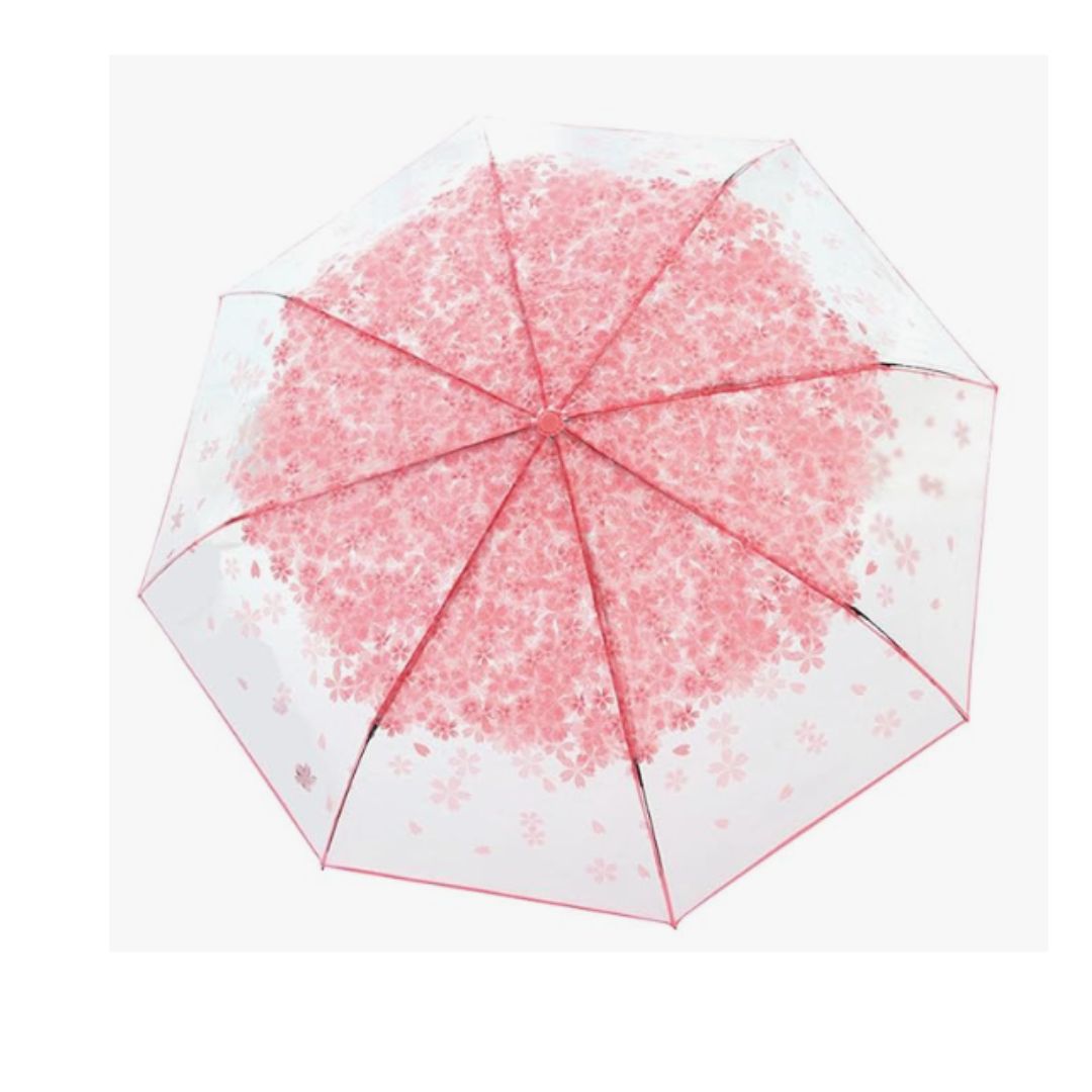 Umbrela Tranparent Flower Printed | Transparent Printed Umbrella, 23 Inch  (Multicolor)