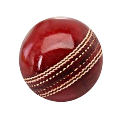 Cricket Leather Ball